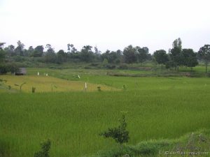 PA200243