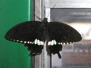 PB221358