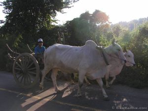 PB231413