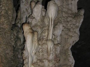 PB251538