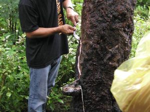 PA060069
