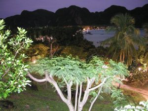 PA100002