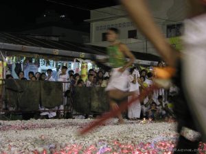 P1012627